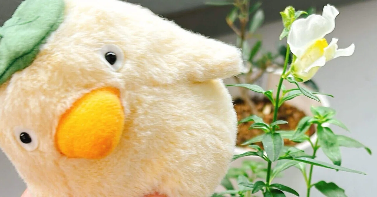 ぴよさまはお花がお好き｜ひよもち