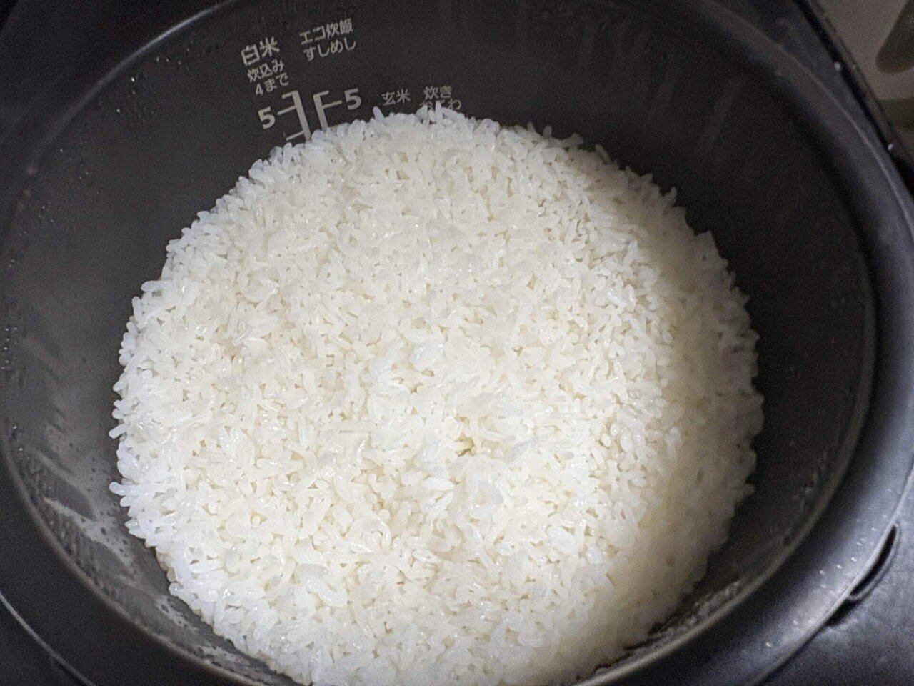 古古古米ショック‼️政府備蓄米(2022年産)を買って食べてみた