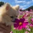 nina｜50代のくらしと再スタートの記録 ☺︎