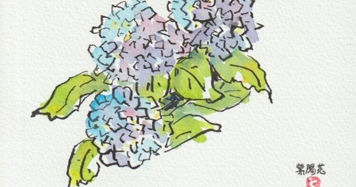 うえの ゆかり | 紫陽花の季節には何度でも描きたくなりますね