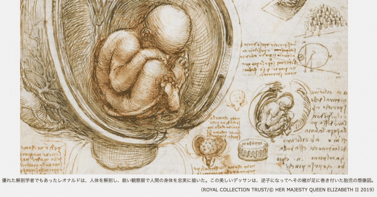 理性と本能 の定番タグ記事一覧 Note つくる つながる とどける