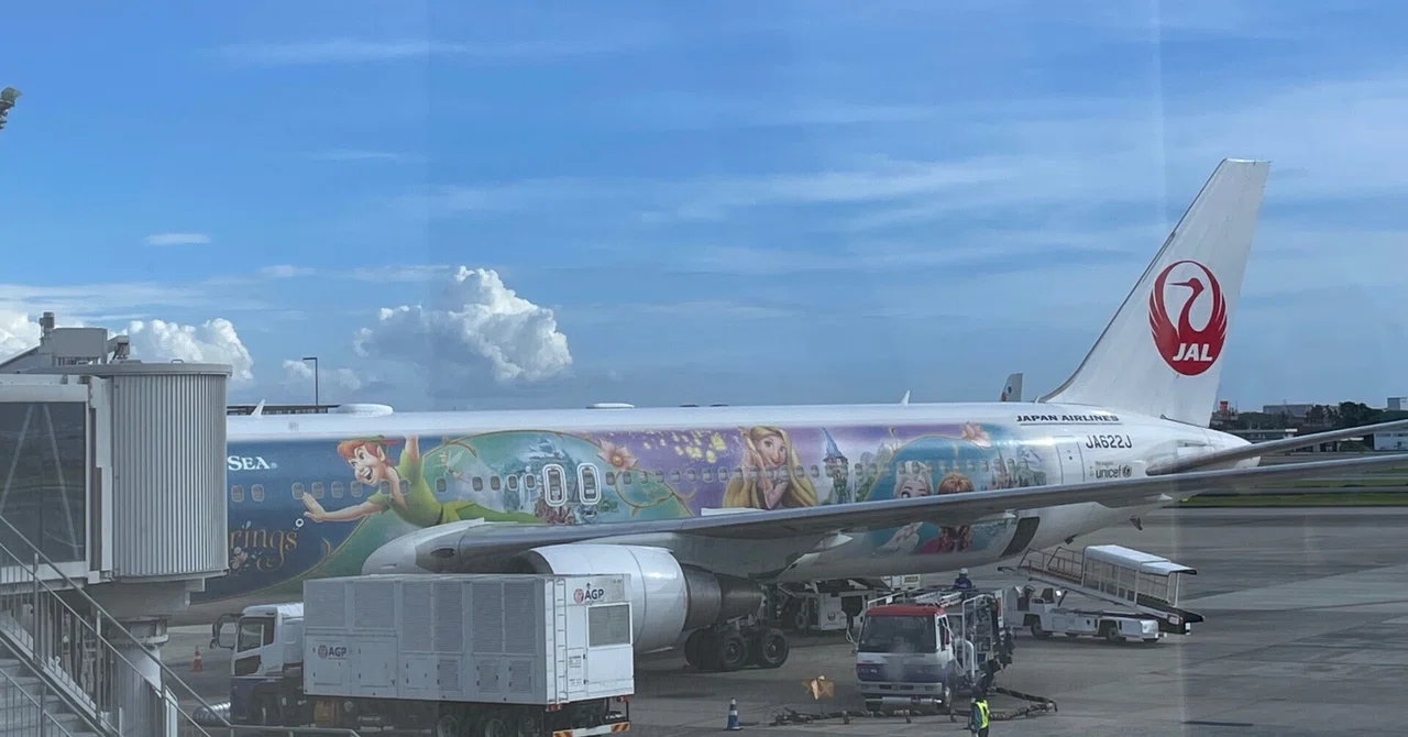 JAL特別塗装「Fantastic Journey Express」に乗れたおはなし｜haru