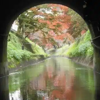永子