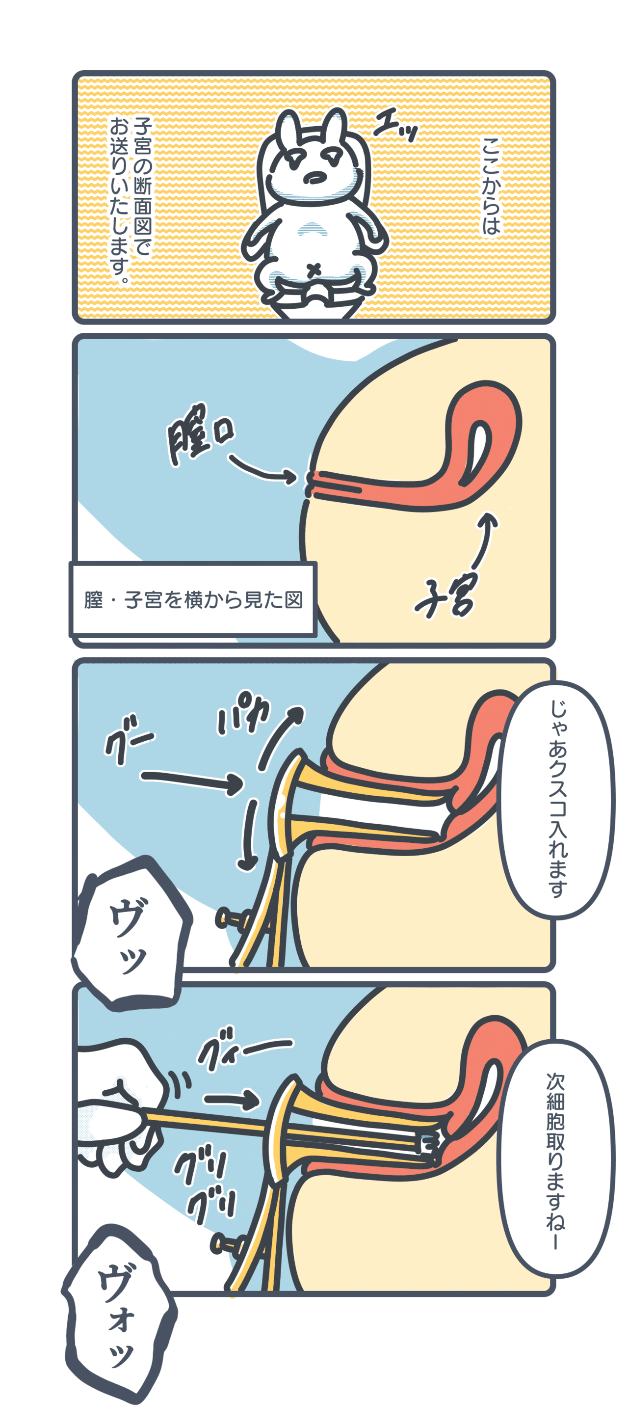 クスコ子宮 第8話】内診ってなにするの？｜おかゆ