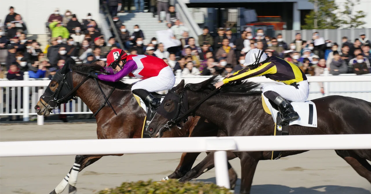 #バーデンBC登録マーク馬公開～(^o^)v｜無料競馬予想シルバーガイル