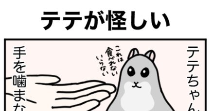 テテちゃんノート テテちゃん」の人気タグ記事一覧｜note ――つくる、つながる、と