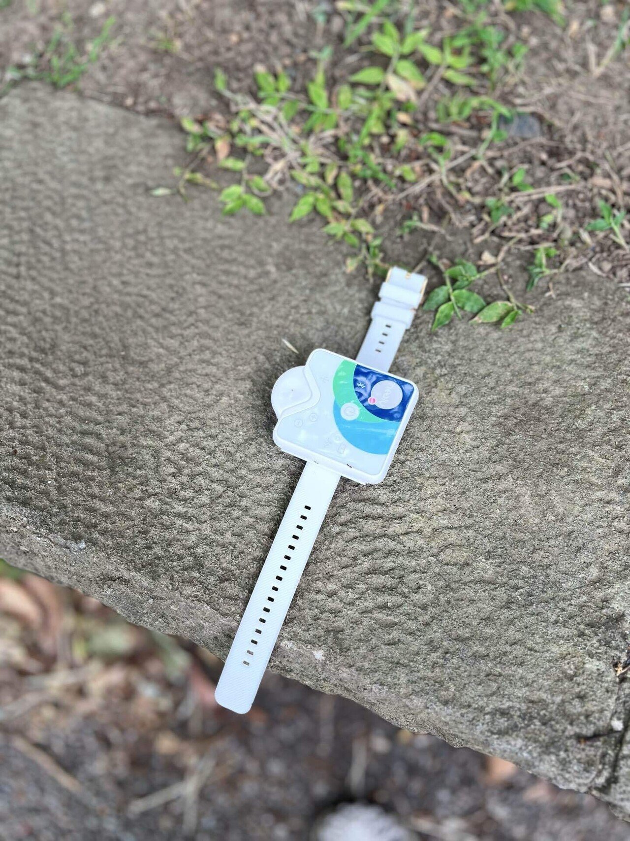 ヒーリーハイウェーブの体感と注意点をシェアします｜akarizumu