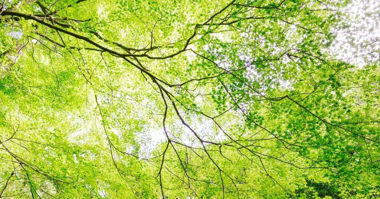 人工透析は血液を入れ替えている治療 とびぃ Note