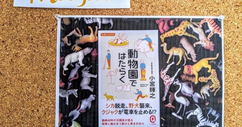 動物園の役割ってなんだろう 動物園ではたらく 小宮輝之 Zine Distance フリーペーパー Modifica Note