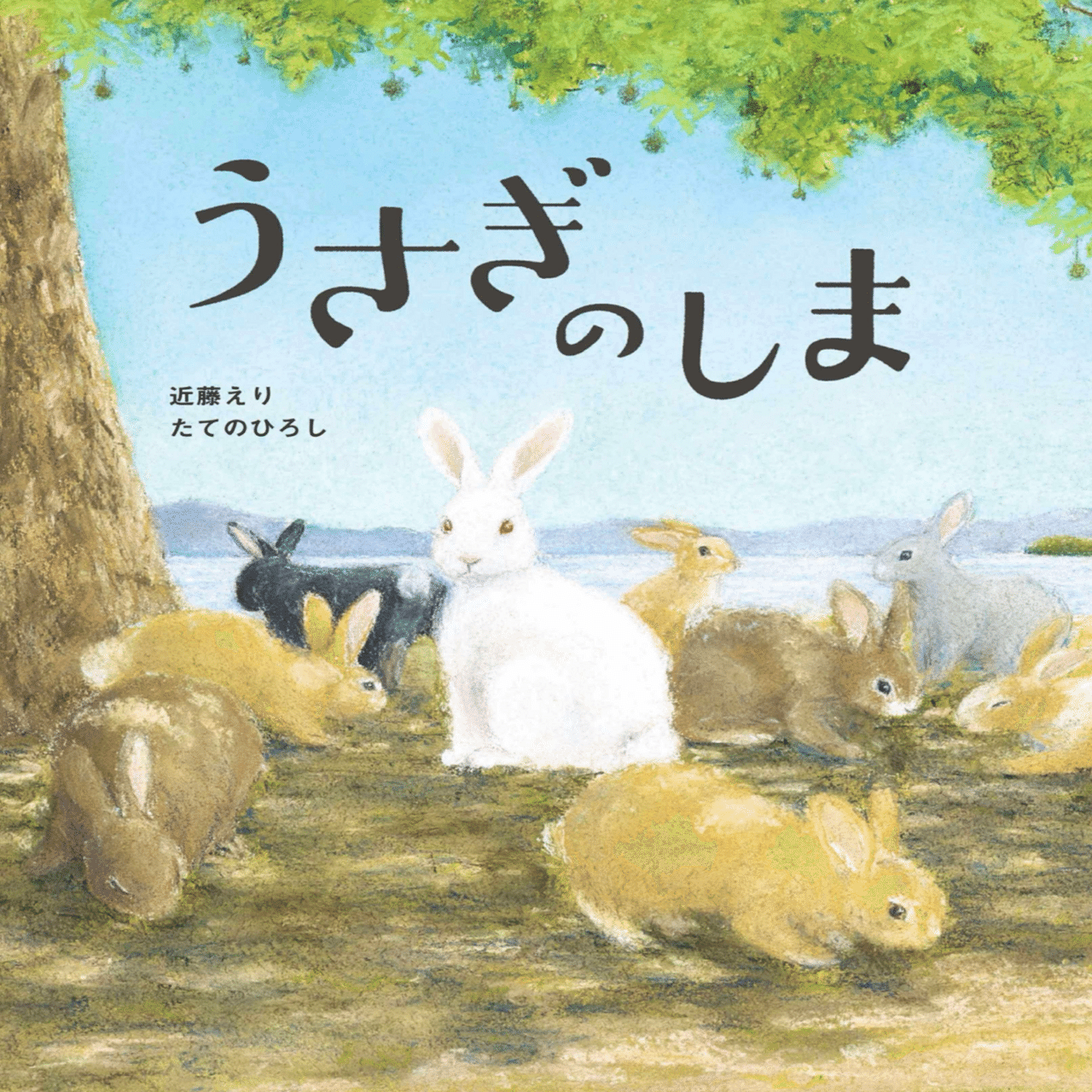 丹沢山麓庵通信vol.13-3【うさぎと坊ちゃんの巻】｜舘野鴻 アトリエ