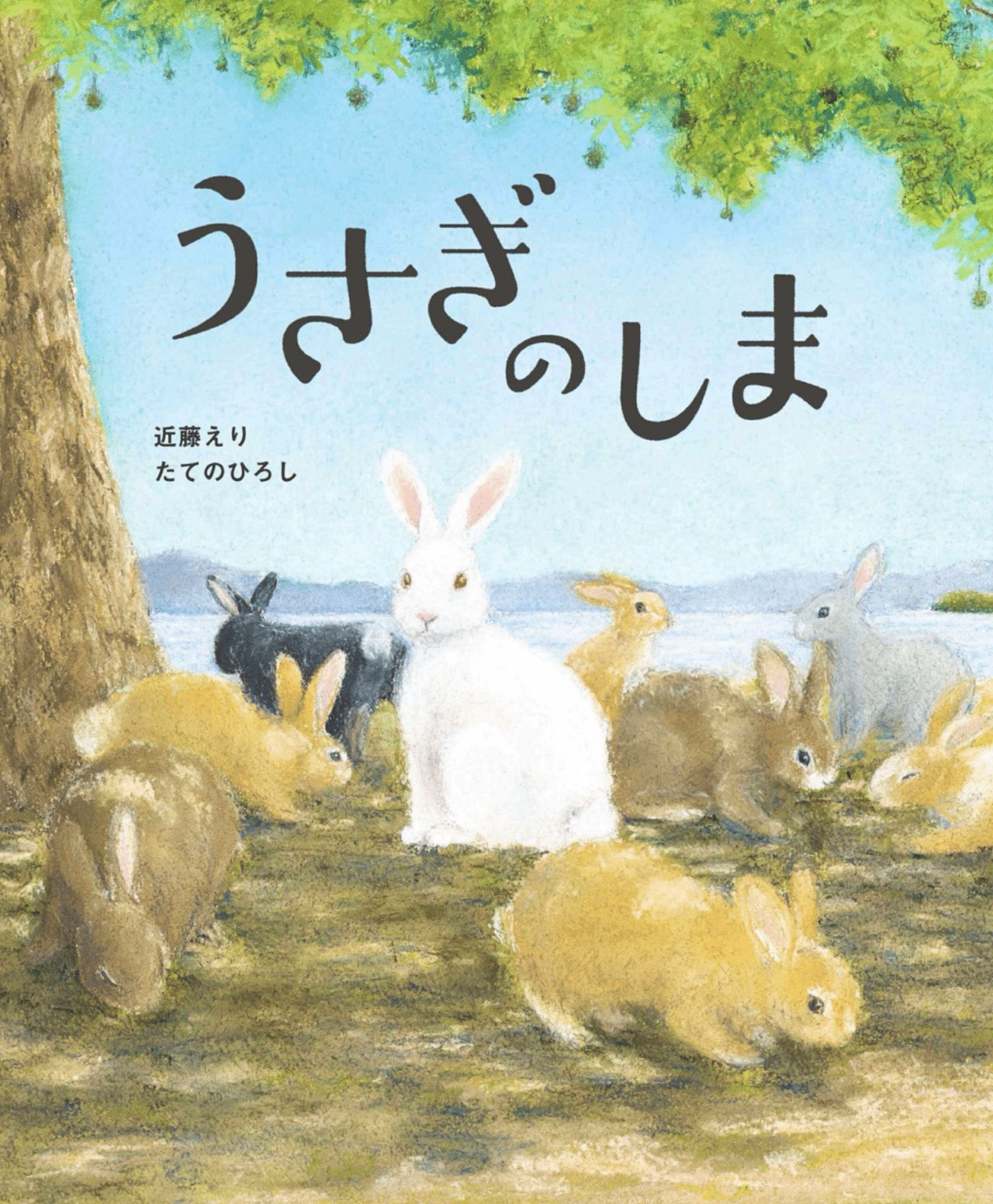 丹沢山麓庵通信vol.13-3【うさぎと坊ちゃんの巻】|舘野鴻 アトリエ 丹沢山麓庵通信vol.13-3【うさぎと坊ちゃんの巻】|舘野鴻 アトリエ