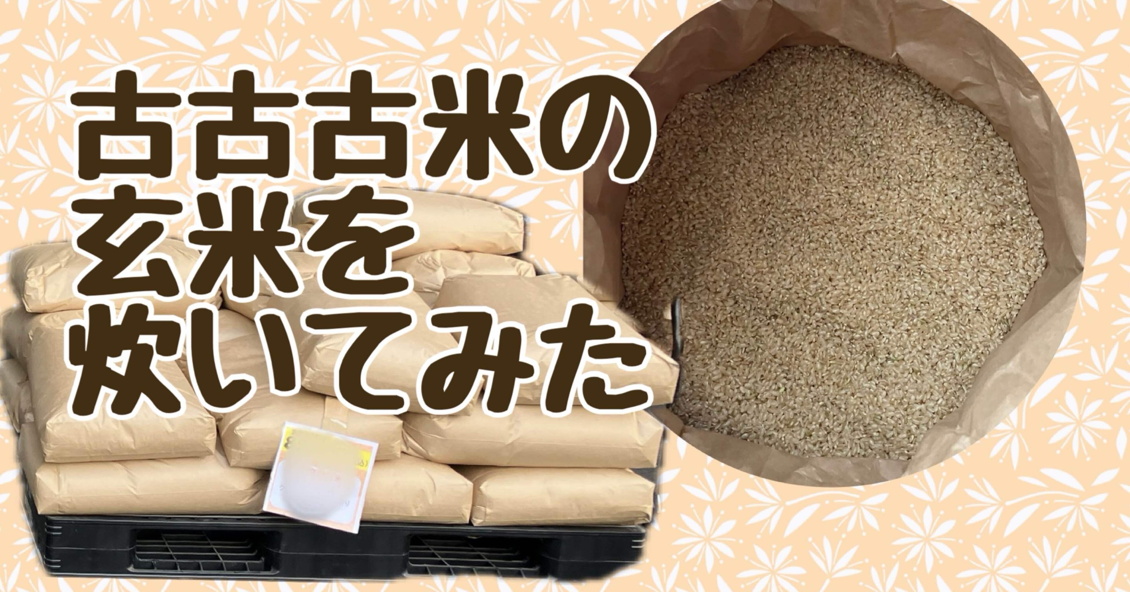 節約主婦】古古古米の玄米を炊いてみました｜sayopea