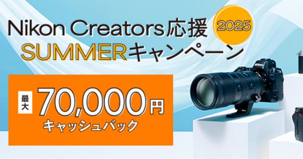 コスパおばけ】②Nikon D70、D70S 2024年に価格がバグってる