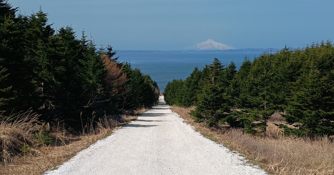 白い道の先に見えた白い利尻富士｜MOUSAKU