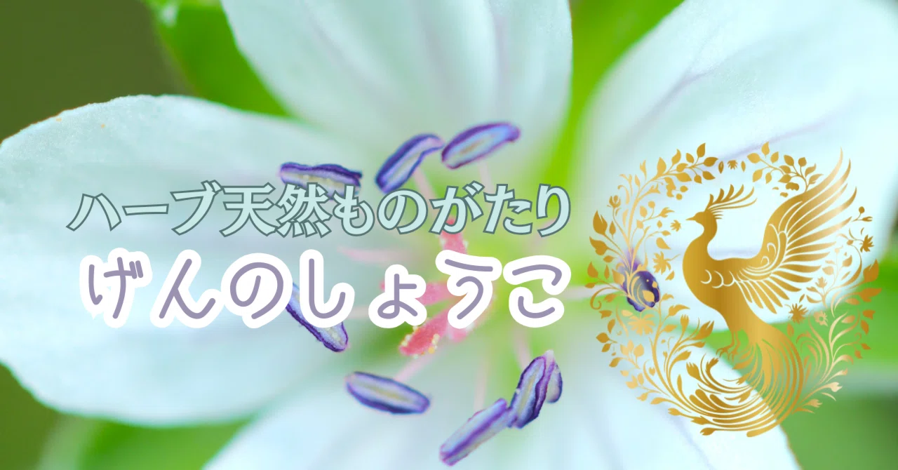 Natural Herb Story Video Ver.: Geranium thunbergii｜白木海月＠Shield72°公式note