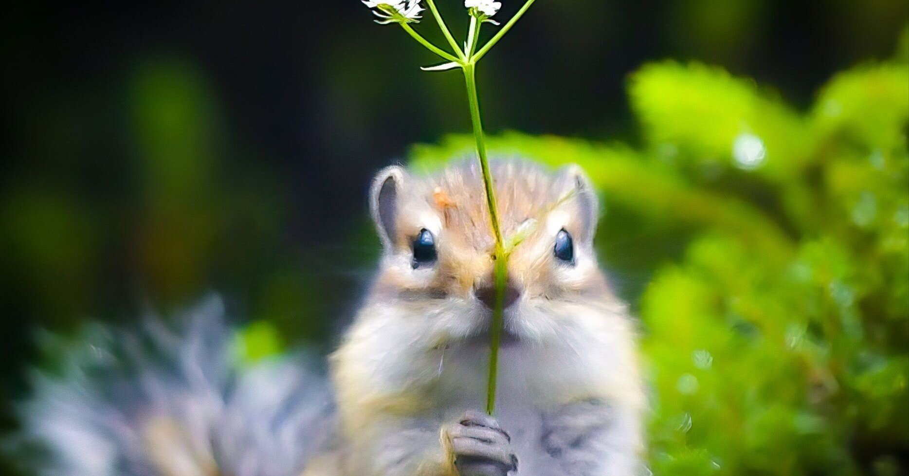 おススメの洋書①] ｜はじめてのnote｜きっき