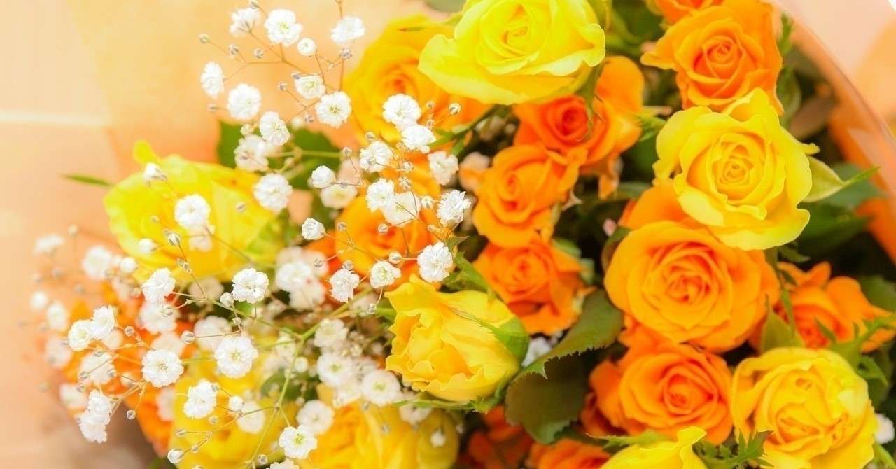 酔っぱらった勢いで結婚が決まった 安心研究所のまお酒 Note