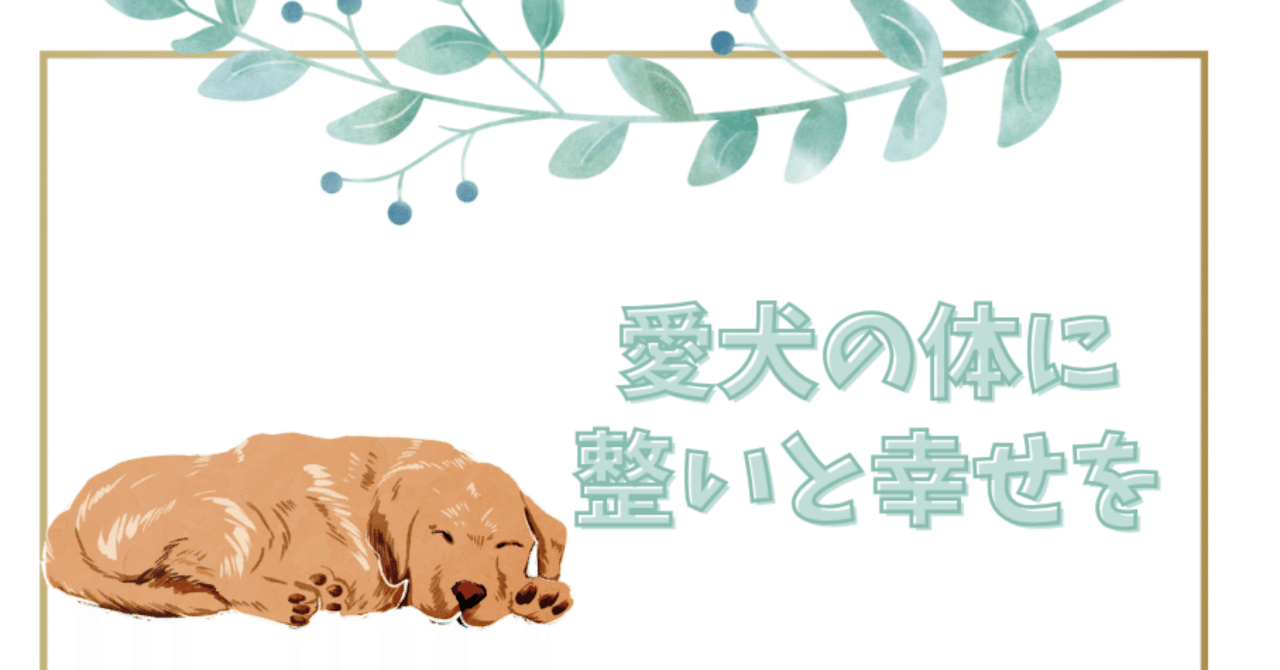 番外編】ドッグマッサージセラピストKAOのひとりごと⑤｜ドッグ