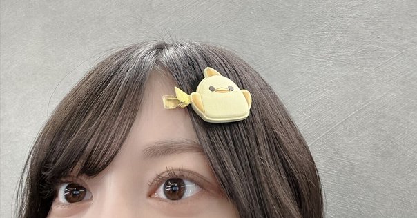写真集レビュー【1】 / 野口里佳『鳥を見る』（中編