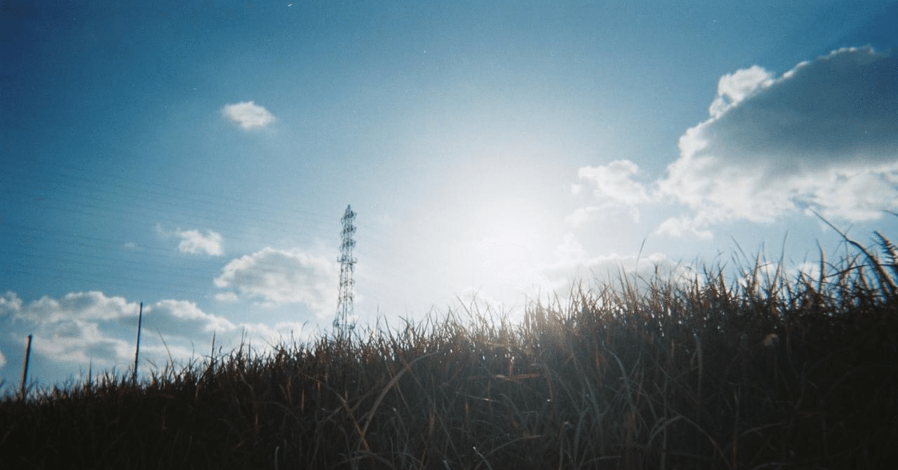 rectangle_large_type_2_a29d995