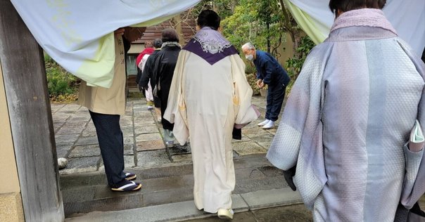 大円草（風炉）裏千家茶道｜数寄でやってます
