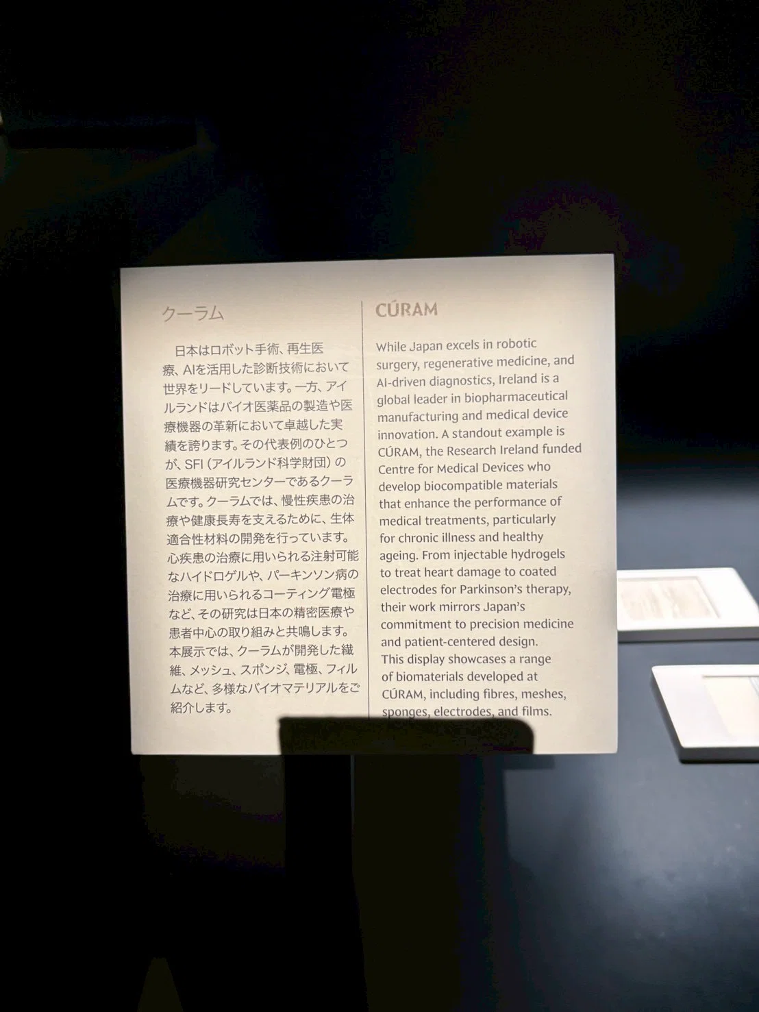 万博写真記録〜アイルランドパビリオン｜mimo