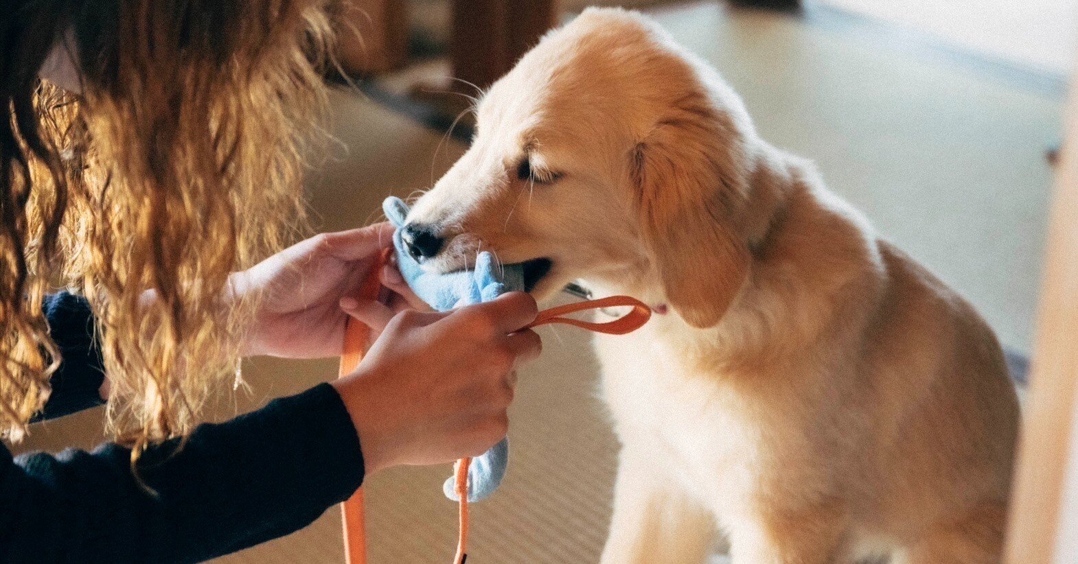 日々、愛が降り積もっていくようで｜Yamamoto Market