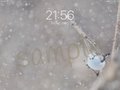 雪の妖精 タブレット Pc用壁紙写真 佐藤 章 Note