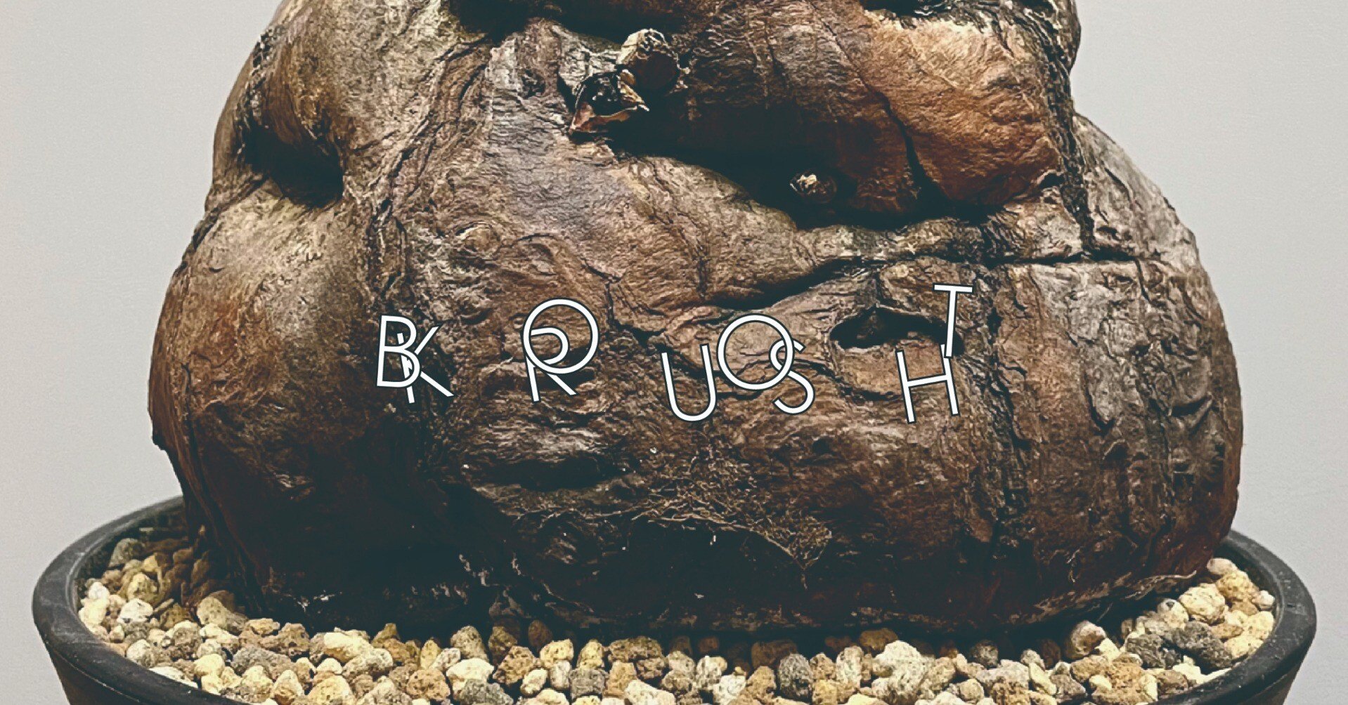 ムランジーナと暮らす。 BOOT KRUSH #1｜足立 拓人