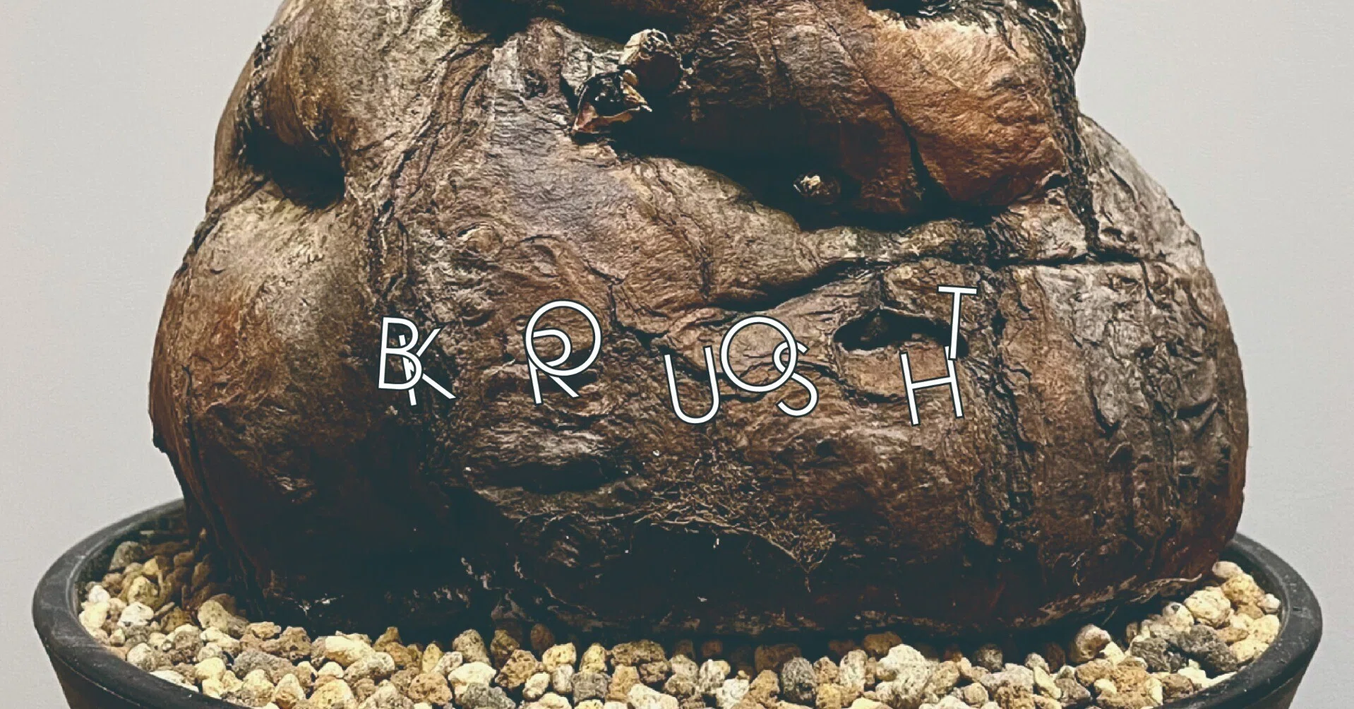 rectangle_large_type_2_387d809