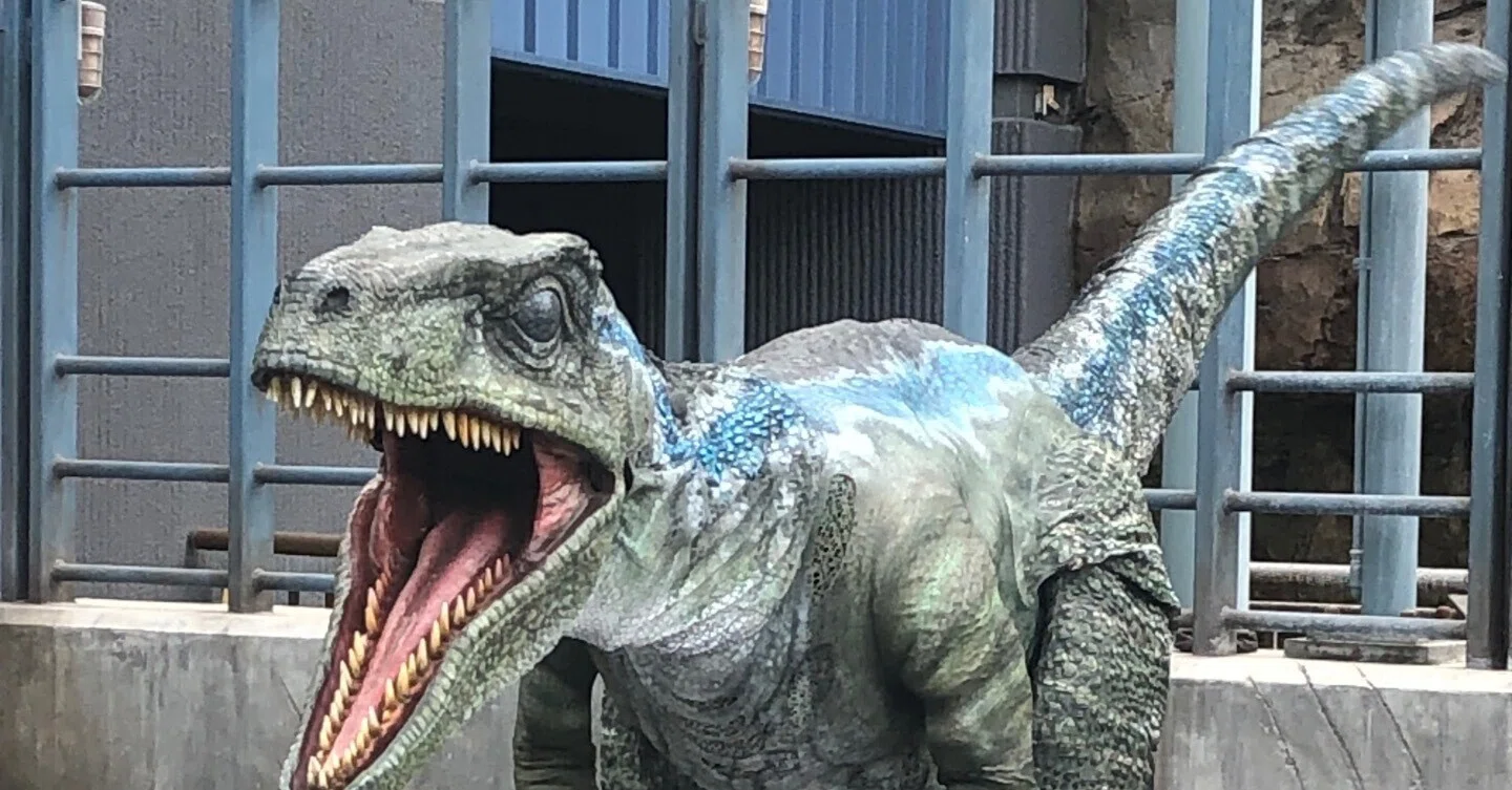 初めてじゃない人向けの「初めてのユニバーサル・スタジオ・ハリウッド