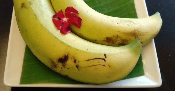 ばななちゃん🐵🍌 | 7月にサマラン行った時の✌️ ソフト