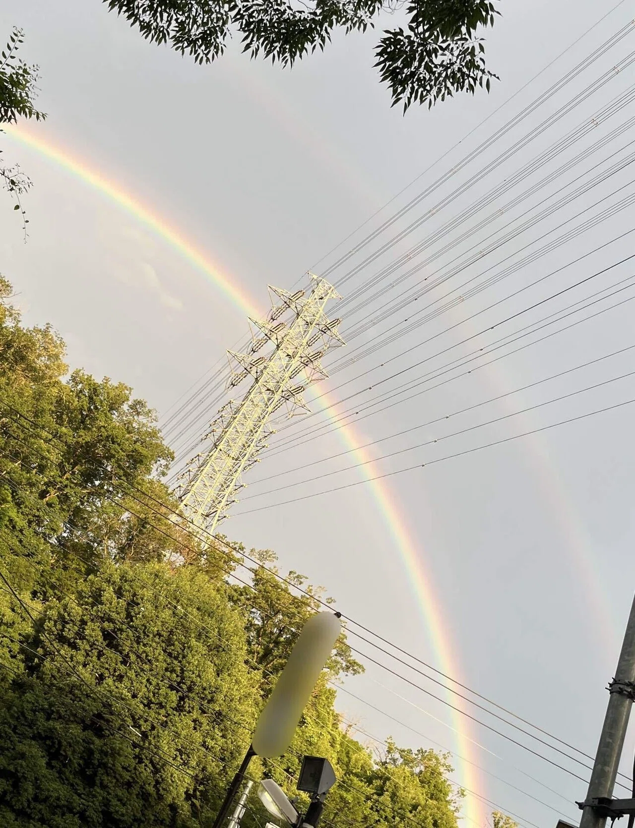 ダブルレインボーに遭遇したお話🌈🌈｜とある凡人シウのソロlogue