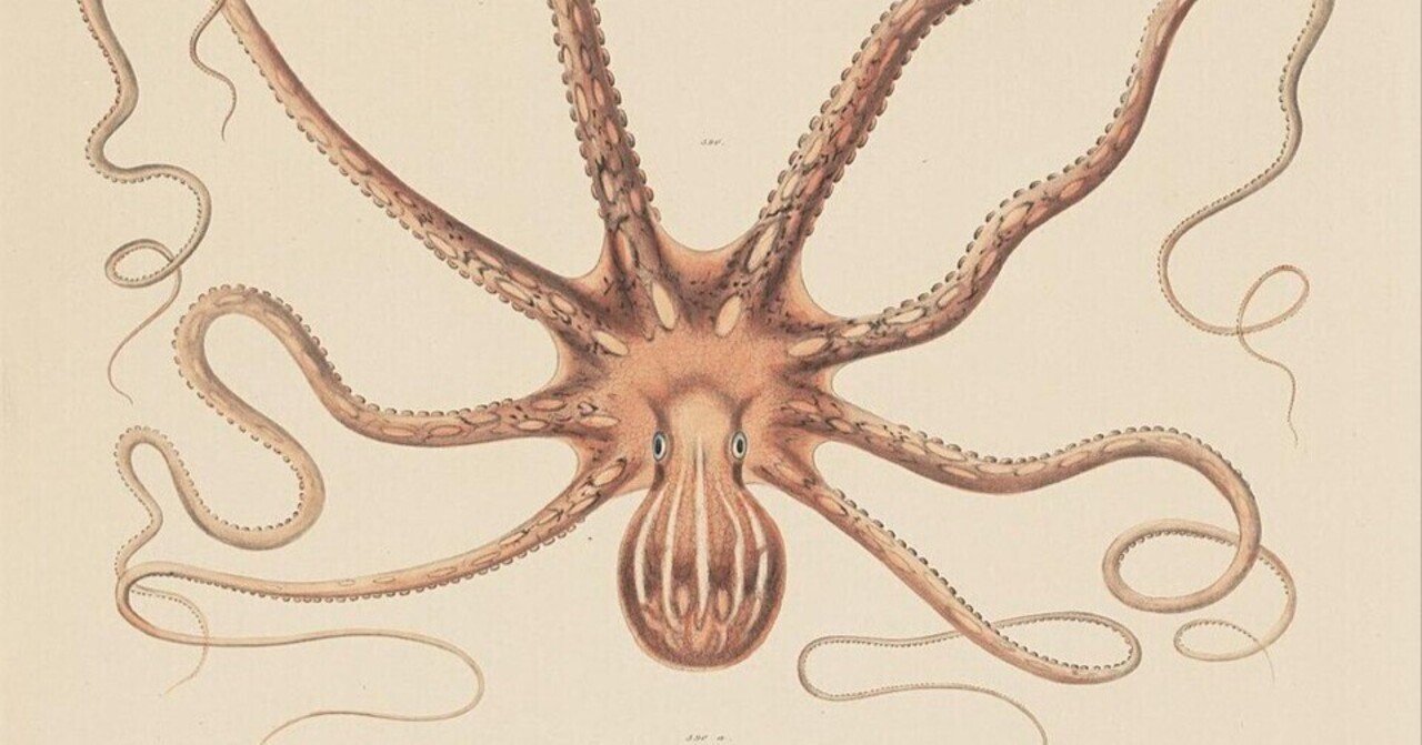 城の中のイギリス人 燠火 白水Uブックス マンディアルグ 4冊まとめて