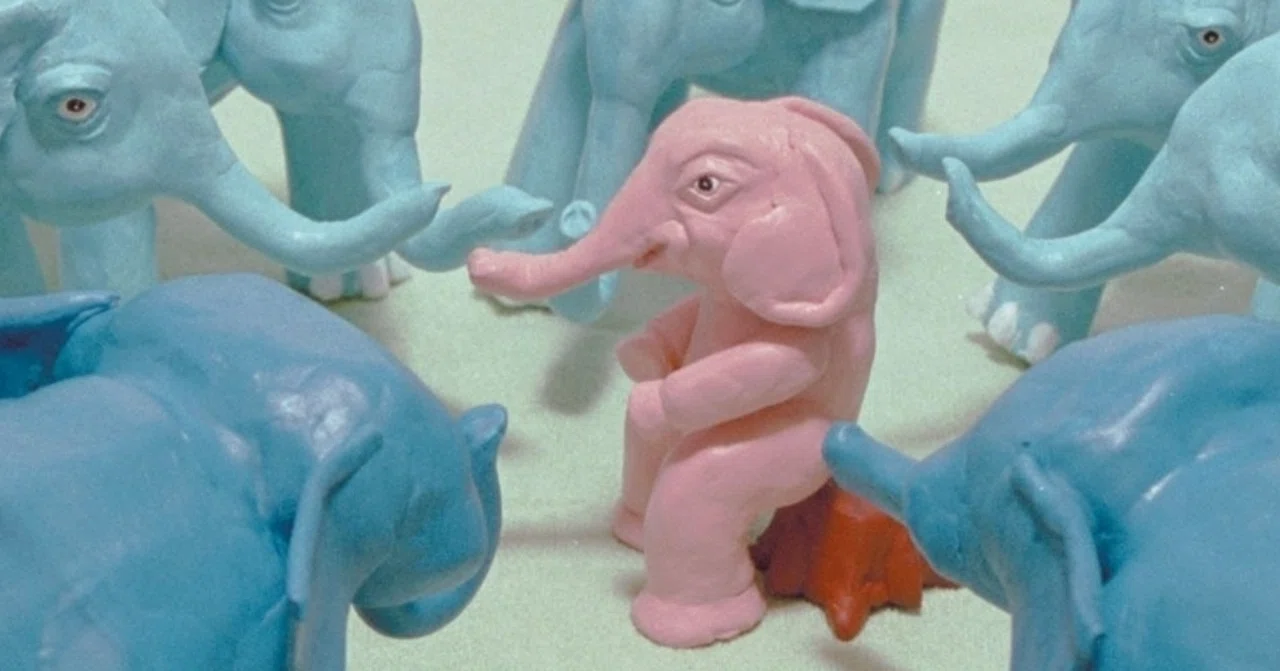 [Essay] Pink Elephants and Synchronicity Charms｜ミモザ