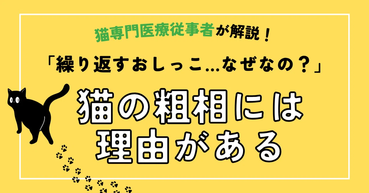 猫 布団 で トイレ 治ら ない