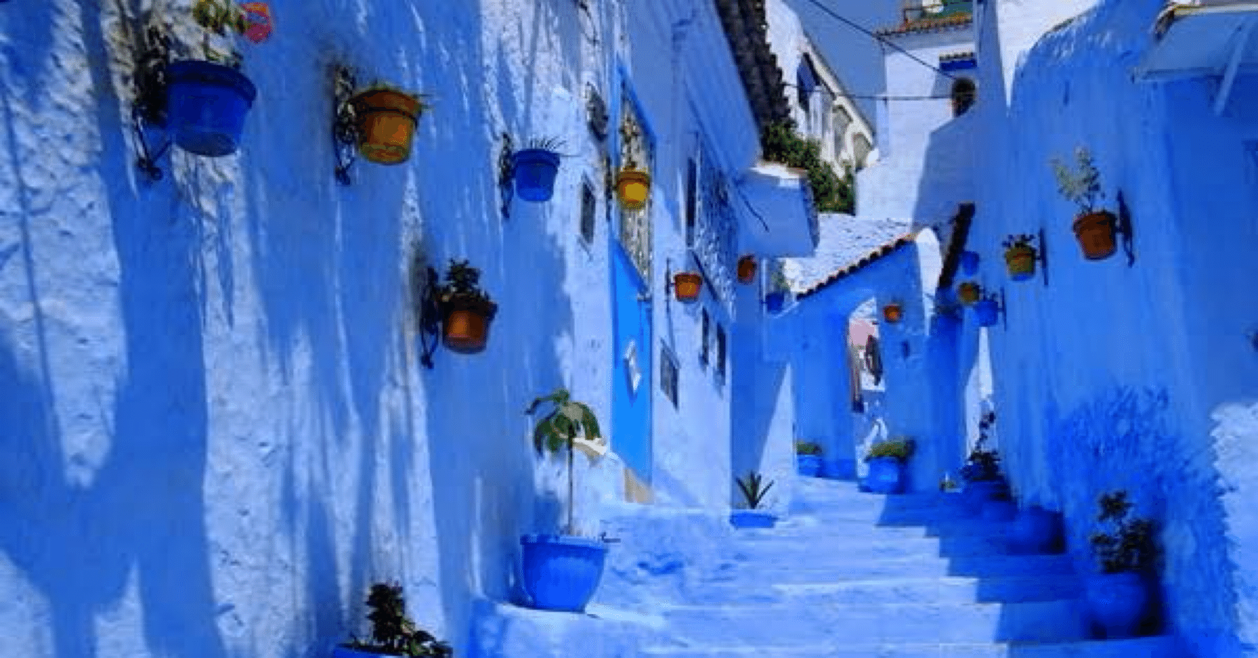 青い街に行きたい｜おの