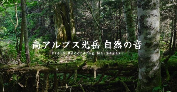 miduno（ミヅノ）プロフィール｜Nature Sound Effect : miduno