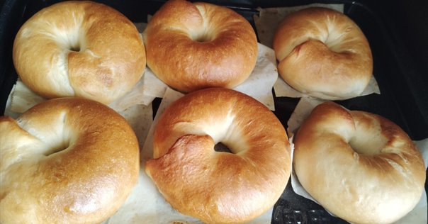 ビビっときたパン関連の本②『Cooking for Geeks』｜パンテツカ