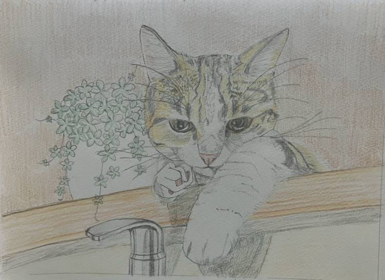 色鉛筆画｜まる｜note