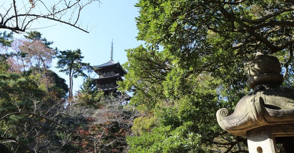 永保寺庭園】禅僧・夢窓国師の名庭を彩る錦の紅葉（岐阜県多治見