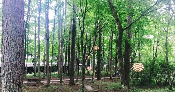 川のある風景 さとがめ on X: 