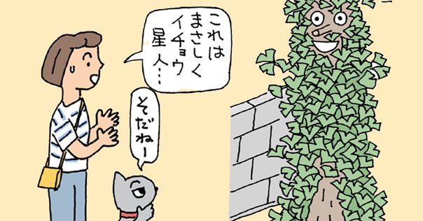 東京右半分 書評『東京右半分』都築響一（筑摩書房）｜柳瀬 博一