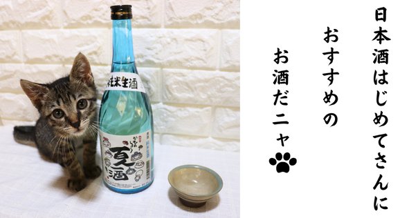 田酒干支ラベル、廣戸川にごり、仙禽×サケラボトーキョー　3本セット 仙禽 クラシック 零式 720ml