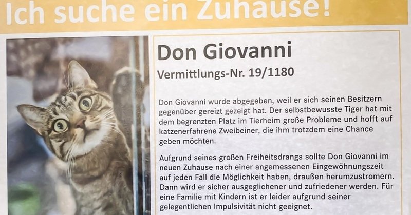 ドイツの動物保護施設 ティアハイム とは 9割以上の保護猫が卒業できる仕組みづくり パケトラ 世界のビジネスアイデア Note
