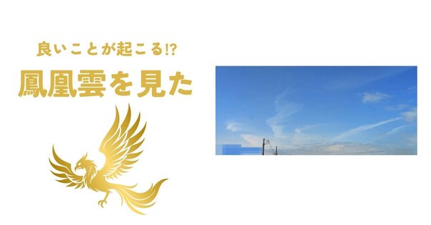 茶ノ湯の掛物；006 彩鳳舞丹霄｜大村（前嶋）康太郎