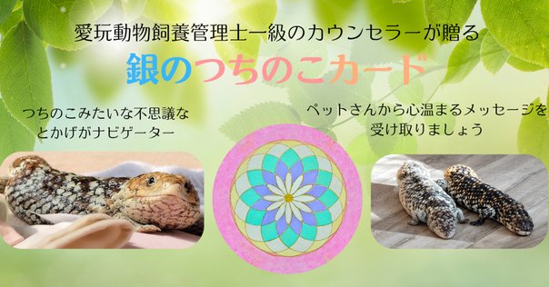 ペット霊視＊鑑定書 四柱推命鑑定 手相占い 霊視 【ご相談2件】 - メルカリ