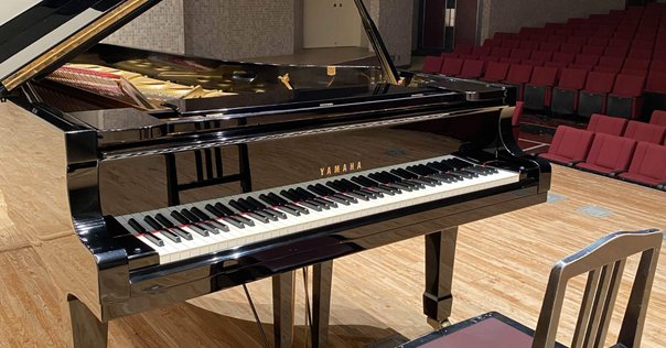 勝手におすすめ本⑦】ある「完全な音楽家」の肖像｜rie先生の