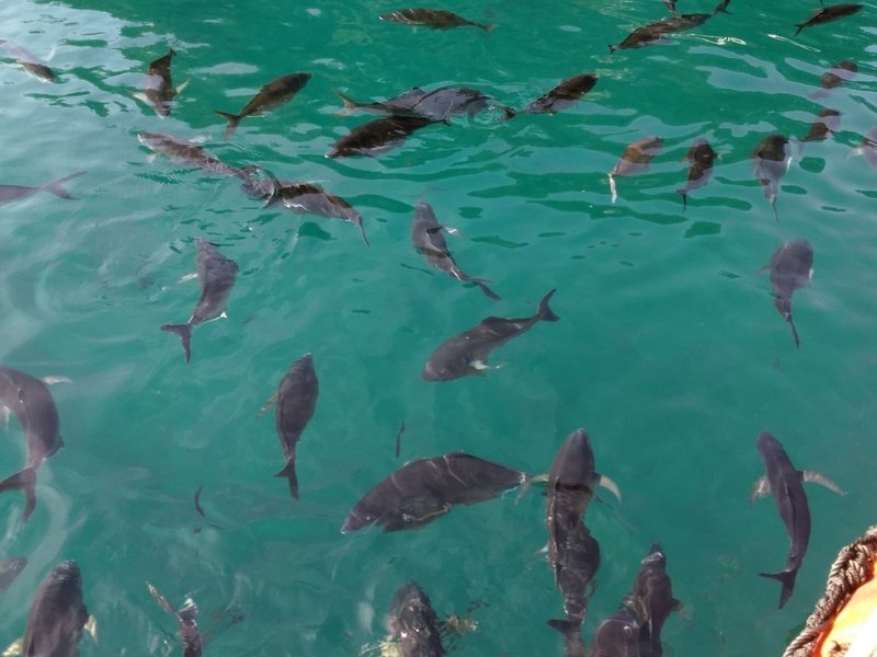 Don T Panic パニクるな 真田正之 Note