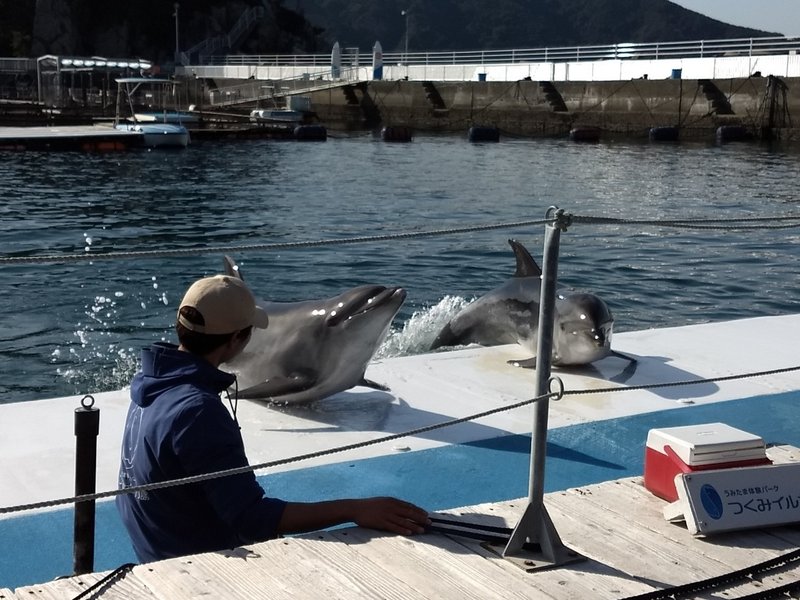 Don T Panic パニクるな 真田正之 Note